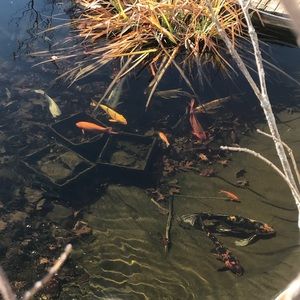 Meet your Posher, Haven